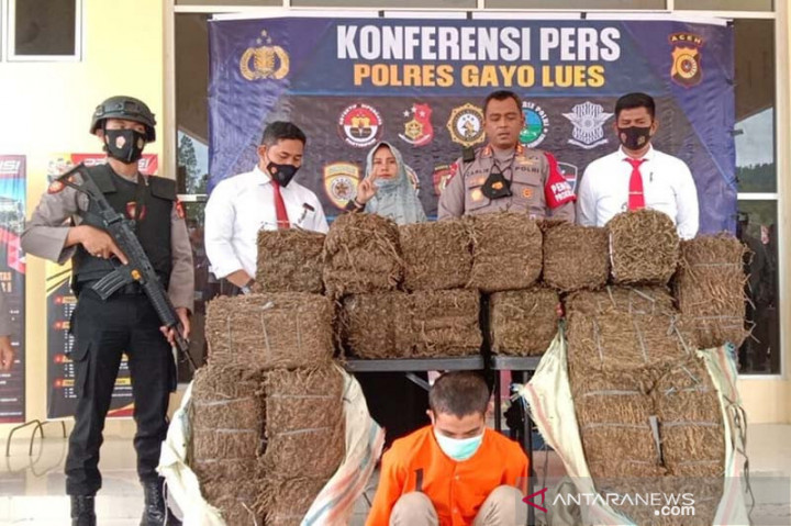 Peredaran 110 Kilogram Ganja di Aceh Digagalkan
