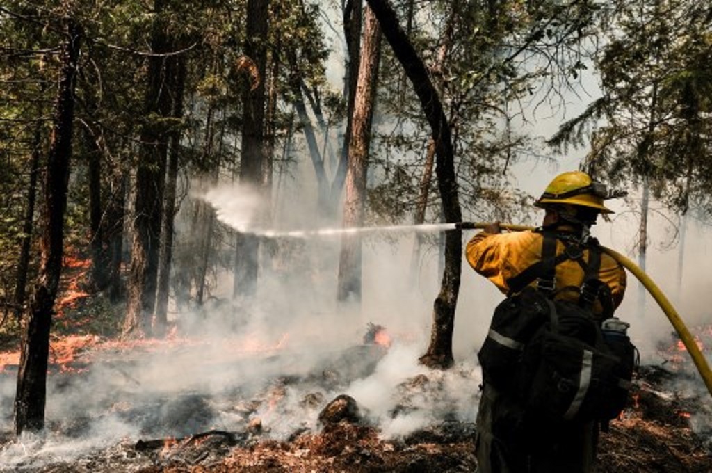 Petugas pemadam menyiramkan air di salah satu lokasi kebakaran hutan di Greenville, California, 9 Agustus 2021. (David Odisho / Getty / AFP)