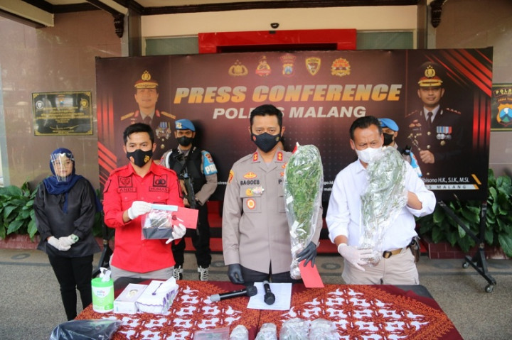 Warga Lumajang Pengedar Ganja Ditangkap di Malang