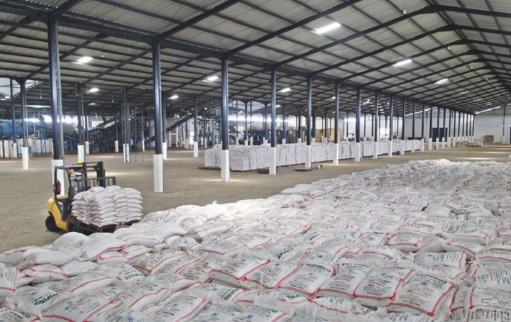 Harga CPO Membaik, Produsen Pupuk SAMF Optimistis Raup Pendapatan Rp1,8 Triliun