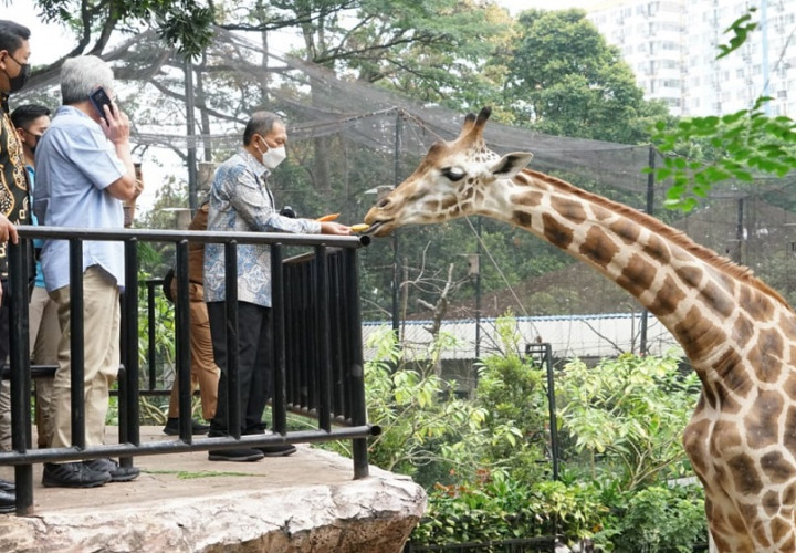 KPK Bantu Pulihkan Aset Kebun Binatang di Bandung