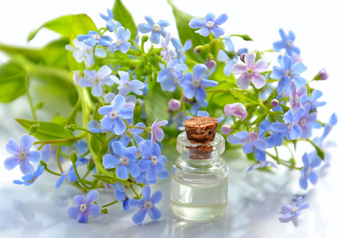 5 Minyak Atsiri dan Khasiatnya yang Menenangkan