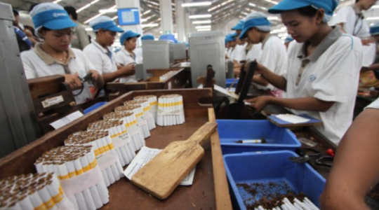 Kenaikan Cukai Gerus Laba Sampoerna 15,44% Jadi Rp4,1 Triliun