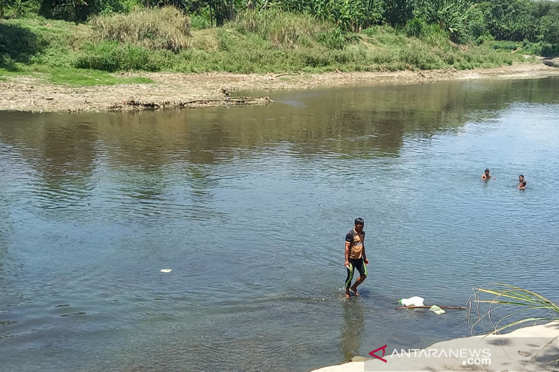 Air Sungai Bengawan Solo yang kembali tercemar limbah dari industri ciu. Antara/Aris Wasita