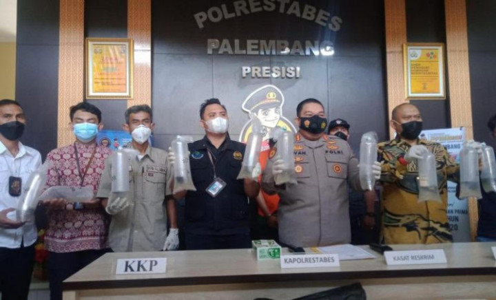 Penyelundupan <i>Baby Lobster</i> Senilai Rp14 Miliar di Palembang Digagalkan