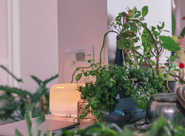 3 Alat Teknologi Ini Penting Selama Pandemi