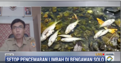 Limbah Miras Ciu Sebabkan Ribuan Ikan di Sungai Bengawan Solo Mati