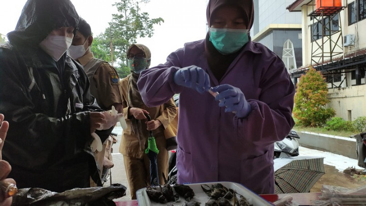 Sampel Kawanan Burung Mati di Cirebon Dilakukan Tes PCR