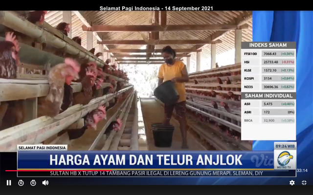 Harga Ayam dan telur Menurun di Masa Pandemi