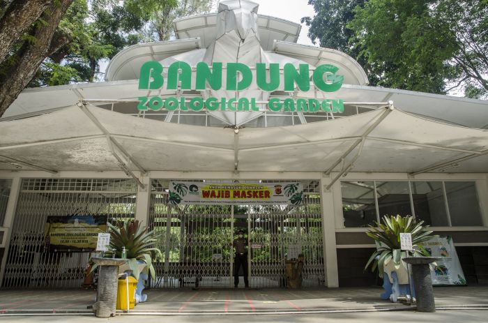 Kebun Binatang Bandung Bersiap Kembali Dibuka