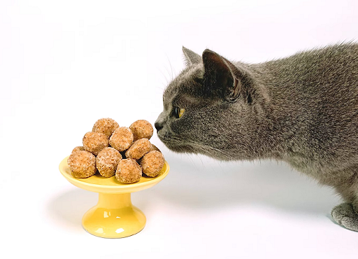 Tips Memilih Makanan Kucing yang Tepat