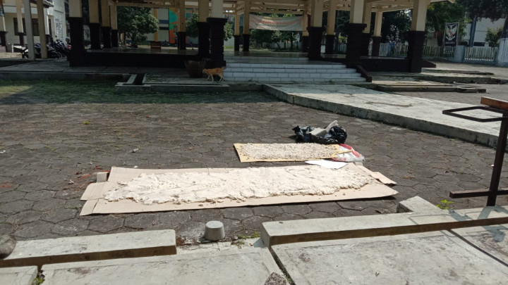 Mahasiswa Unsoed Manfaatkan Limbah Ampas Tahu Sebagai Pakan Alternatif Ikan