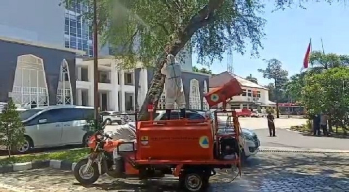 Lokasi Kawanan Burung Mati di Balai Kota Cirebon Disemprot Disinfektan