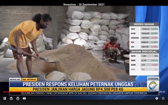 Jokowi Respons Keluhan Peternak Unggas