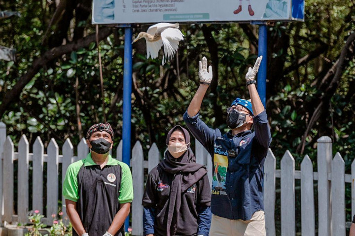 Masuk 50 Besar ADWI 2021, Ini 10 Keistimewaan Desa Wisata Kampung Blekok