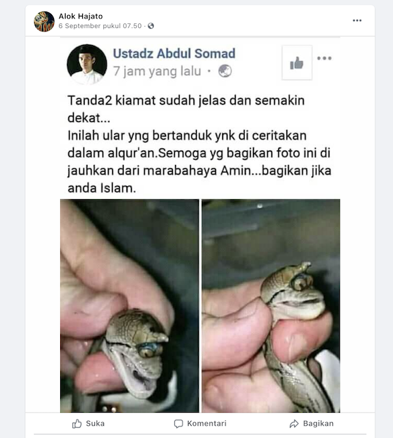 Tangkapan layar pemberitaan palsu di media sosial. Foto: Facebook