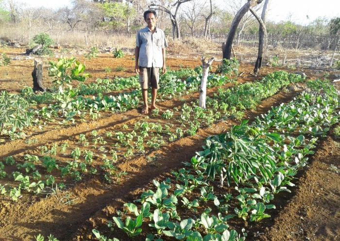 Warga di Wilayah Operasi Jaringan Teroris Ali Kalora Tetap Beraktivitas