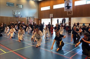 Pencak Silat Diakui Sebagai Warisan Budaya Indonesia di Belanda
