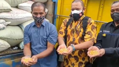 Usai Dipanggil ke Istana, Peternak Ayam Asal Blitar Suroto Dapat 2 Truk Jagung