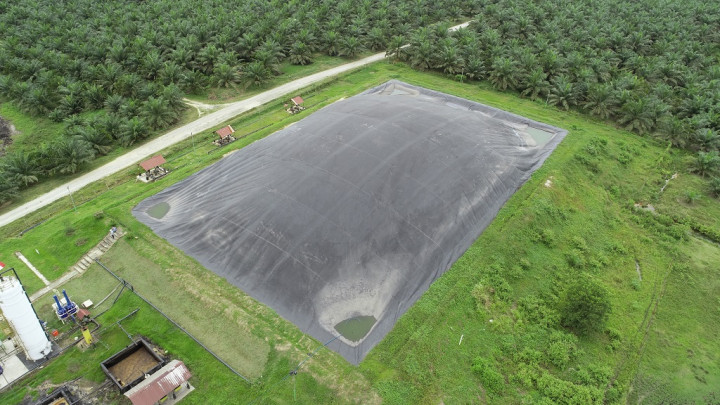 PTPN V Raup Rp168,8 Miliar dari Sertifikasi ISCC dan RSPO