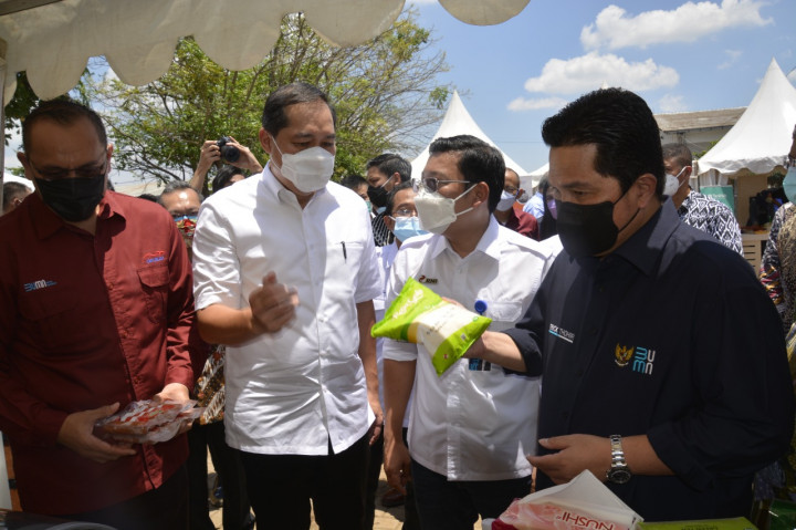 Penggabungan BUMN Pangan Diharapkan Perkuat Transformasi Secara Nasional