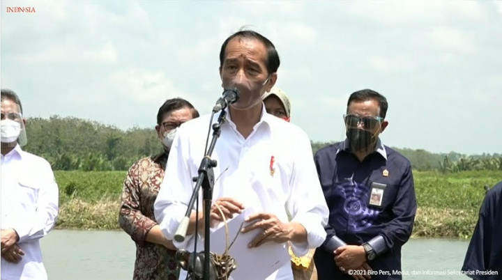 Jokowi Targetkan Rehabilitasi 34 Ribu Hektare Mangrove