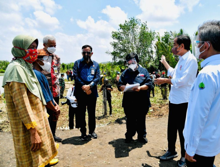 Menteri LHK: Pemulihan Mangrove Kunci Mitigasi Perubahan Iklim