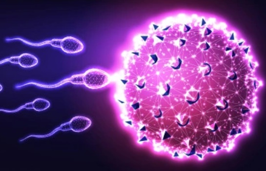 Azoospermia adalah kondisi tidak ditemukannya sperma pada air mani saat seorang pria ejakulasi. (Ilustrasi: Freepik)