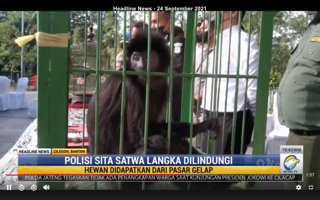 Pemilik Restoran di Cilegon Dipenjara karena Memajang Hewan Dilindungi