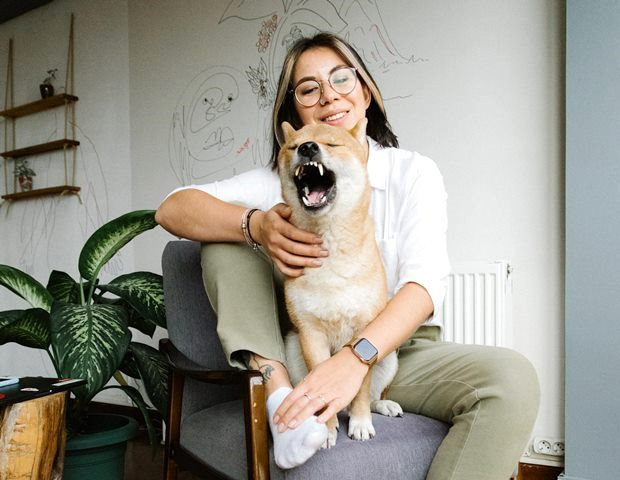 Ini alasan mengapa anjing menggonggong. (Foto: Ilustrasi/Pexels.com)