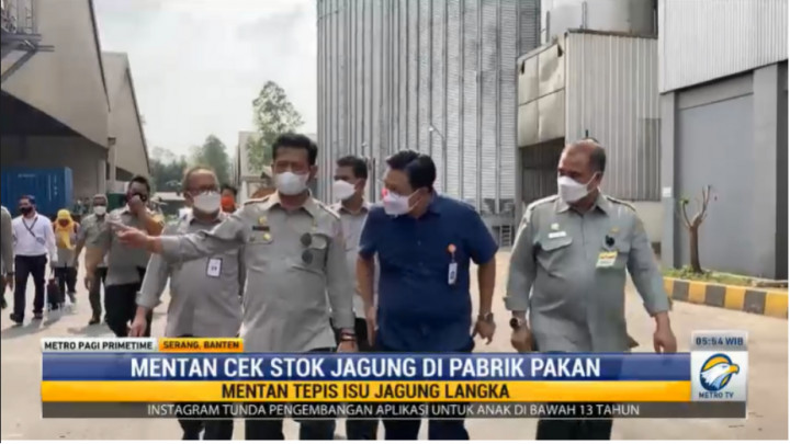 Mentan Pastikan Stok Jagung untuk Pakan Ternak Aman