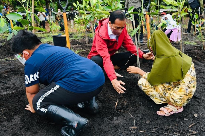 Potret Jokowi Tanam Mangrove Bersama Warga di Bengkalis