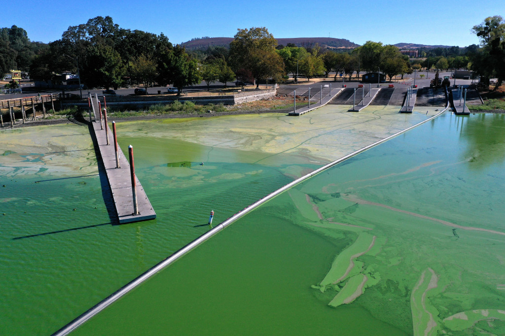 Foto: Danau Terbesar di California Dipenuhi Ganggang Berbahaya