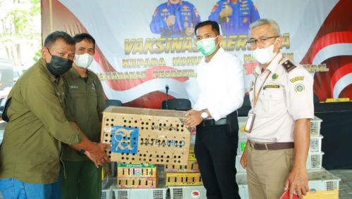 1.081 Burung Dilindungi Gagal Diselundupkan ke Surabaya