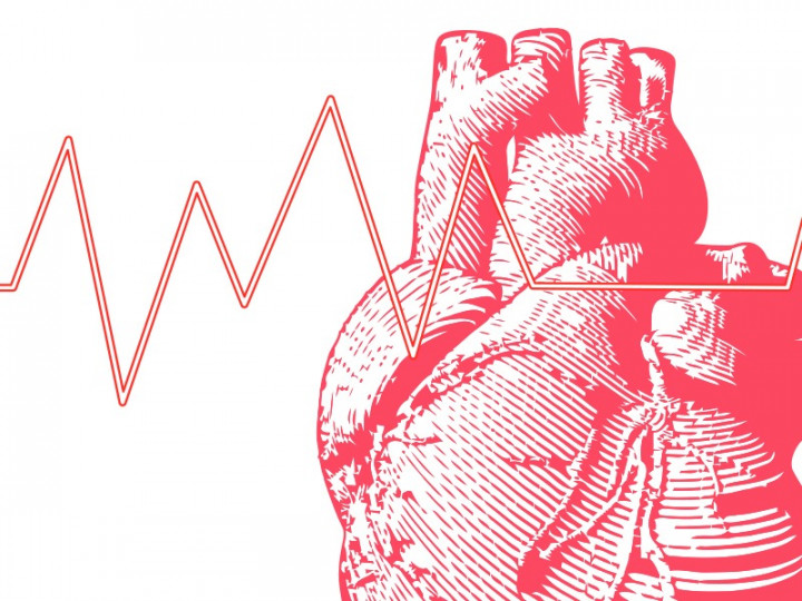 Menjaga Kesehatan Jantung Sejak Usia Muda