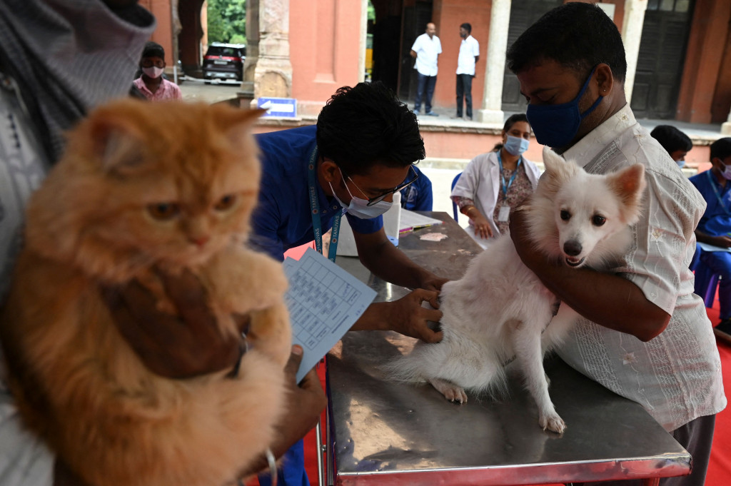 India Gelar Vaksinasi Hewan Peliharaan Peringati Hari Rabies Sedunia