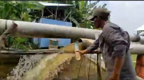 Sungai Bengawan Solo di Lamongan Diduga Tercemar, Warga Resah
