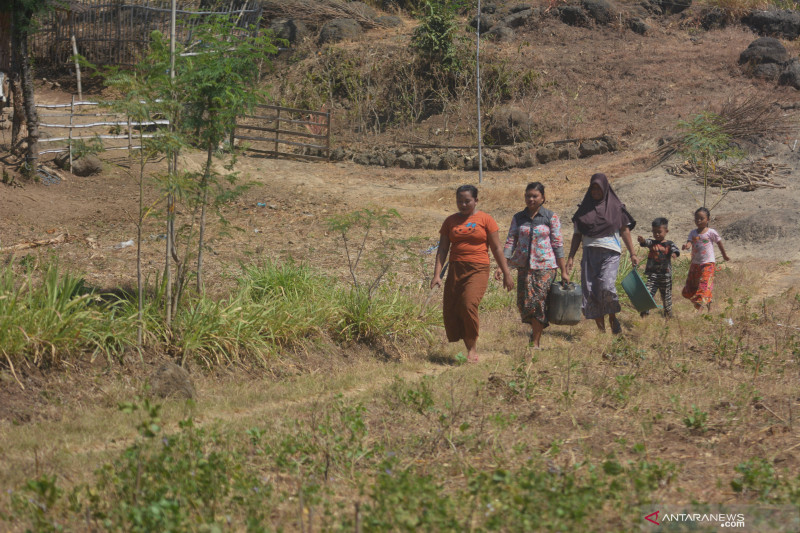  Warga membawa air bersih menggunakan jeriken dan ember di Desa Jatisari, Arjasa, Situbondo, Jawa Timur, Selasa, 31 Agustus 2021. ANTARA FOTO/Seno