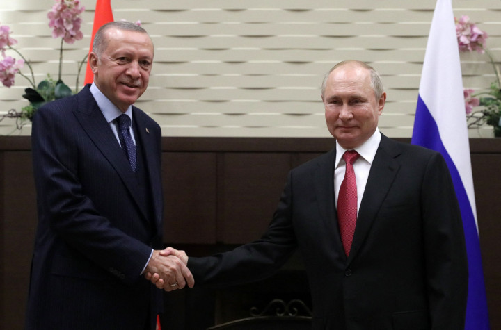 Ini Isi Pembicaraan Erdogan dengan Putin