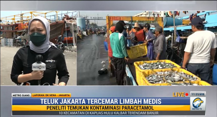 Teluk Jakarta Tercemar Parasetamol, Ini Kata Warga dan Nelayan