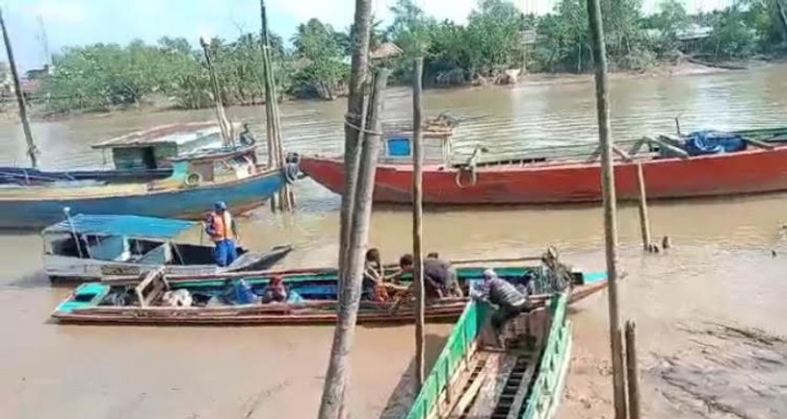 Sedang  Mencari Dedaunan, Warga Musi Banyuasin Tewas Dimangsa Buaya