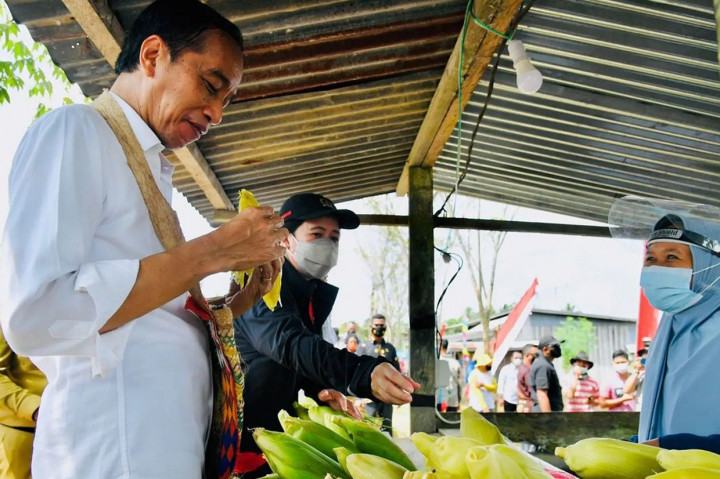 Momen Jokowi Jajan Jagung Rebus di Pinggir Jalan