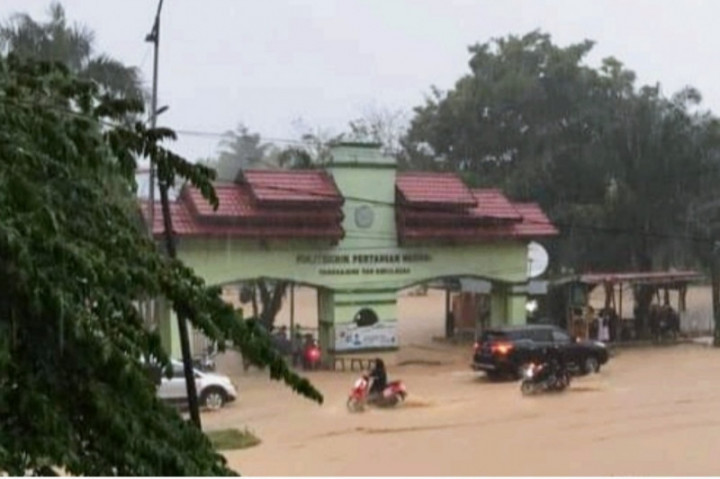 237 Rumah di Luwu Terendam Banjir Bandang