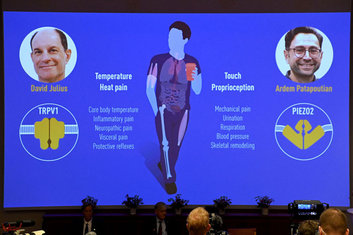 Duo AS Memenangi Hadiah Nobel Kedokteran untuk Reseptor Panas dan Sentuhan