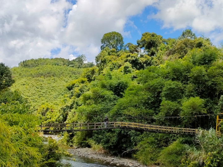 Kalsel Usulkan Geopark Pegunungan Meratus ke UNESCO