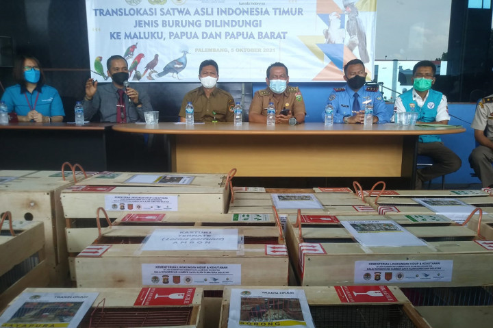 65 Ekor Satwa Dilindungi Ditranslokasi ke Indonesia Timur