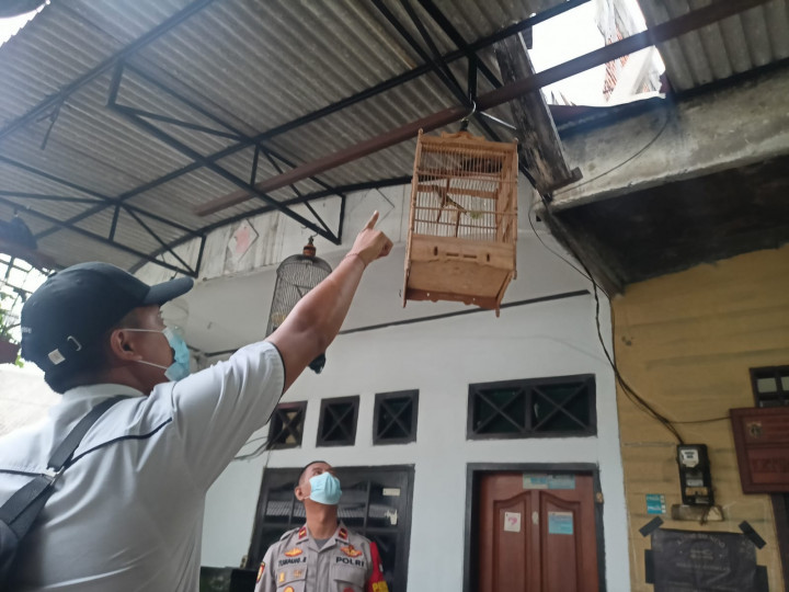 Coba Selamatkan Kucing, Perempuan Paruh Baya Tewas Terjatuh dari Atap