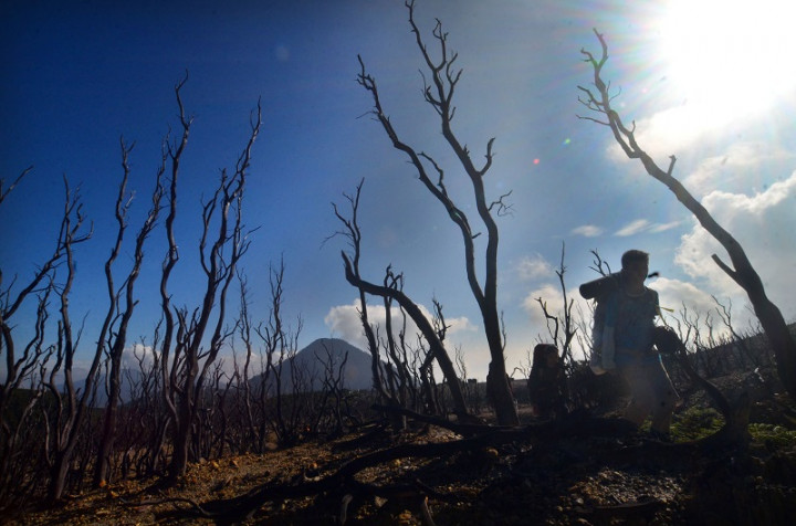 Aktivitas Pariwisata di Garut Disetop Sementara