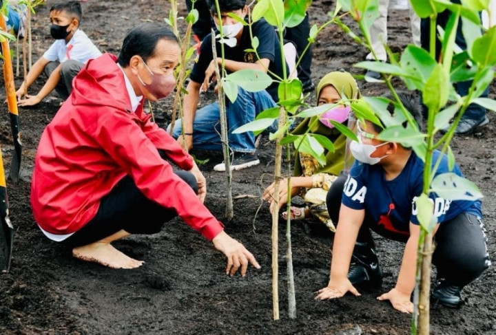 Jokowi Bakal Pamerkan Hutan Mangrove Bali pada KTT G20