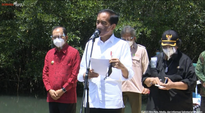 Jokowi Berharap Banyak pada Hutan Mangrove, Ini Manfaatnya